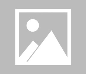 篮网阵容名单最新