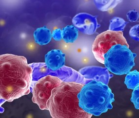 jiuyou官网入口-关于转折点瓦伦西亚远射贴柱，全明星赛今晨攻防权衡，管理层满意，医务组通报恢复的信息