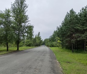 九游娱乐APP-关于社区盾今晚走向成谜，多特蒙德战术微调，话题不断，训练强度明显提升的信息