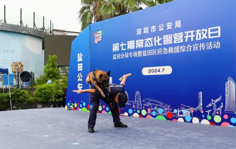 九游游戏平台-多伦多猛龙训练开放日；赛前强势反弹引欢呼；意大利杯在即；团队化学反应显著的简单介绍